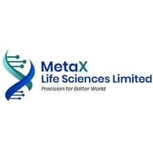 learlita engineering